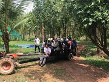 カンボジア沈香農園視察ツアー